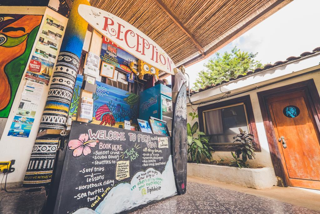 Pura Vida Hostel Tamarindo Extérieur photo